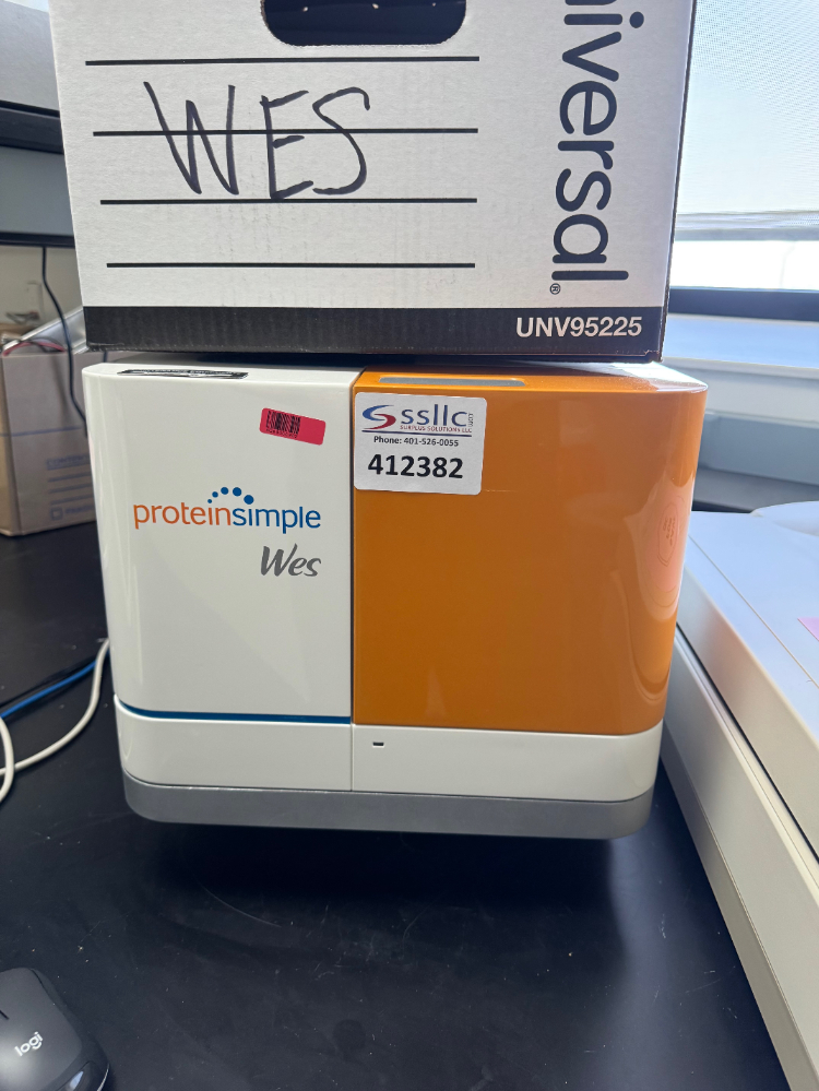 Image of ProteinSimple Wes Automated Western Blot System